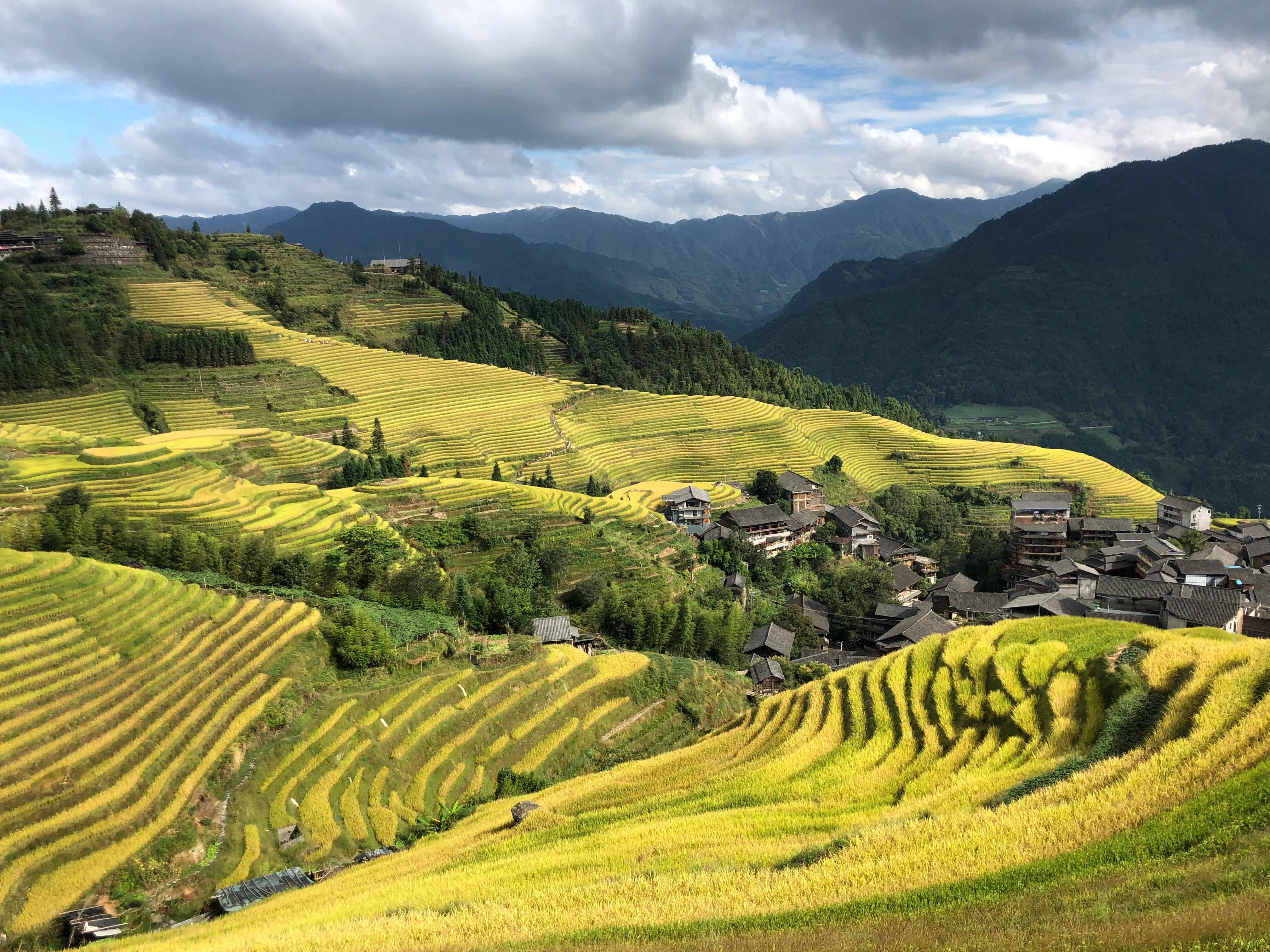 Rice terrace landscape with traditional and modern village houses in the Yangshuo countryside